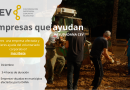 Ayudas de la CEV a causa de la DANA